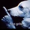 jasabenepai