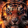 user1ocn02zn5q