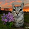 chikotilo_02
