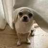 lari.lala.14