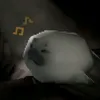 gbzue