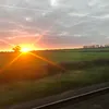 truusjehupeldepup