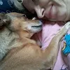www.tiktok.sylvina.cp