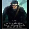 allanholland576