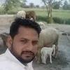 malikshahbaz26995