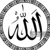 www.tiktok.co.muslim