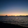 hectorin_1812