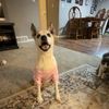 elliejeanjacobson11259