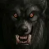 usersm4yxot639