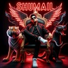 shumail88698