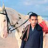 anees jani