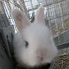 gabby🐇