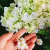 anrchive__