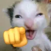 anhkhoi_2711