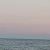 szandi_1