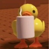 itsduck2