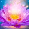 thunguyen4942_cgtvhlnt