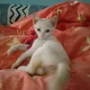 arunsri7892
