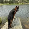 bibi.nyx73