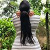 curvy_babs