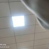 omm12.5