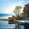 user69419115814