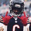 nfl_bearsfan