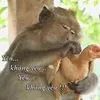hoangeric1