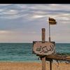 milav_346