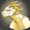 the_witchdragon