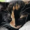 betty.boo13