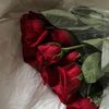 user8716817766681