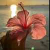 mariemm790