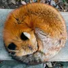 foxyguyhere