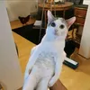 xx_ureamino_xx