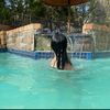 azraah_petersen