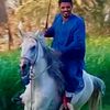 user5plfstmszb
