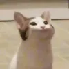 moewfr