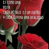 deyanita.043