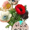 majidalishah387