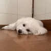 userkasq0wknly