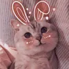 thao_phuong_dao2510