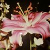 rrandomaccount_222