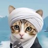 irawanabid7