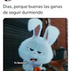 mariamirandalop26