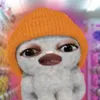lilmeyona