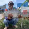 moicaudongphu93