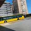 alaenini