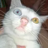 usermiapbdhvrc