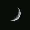 amina_t41